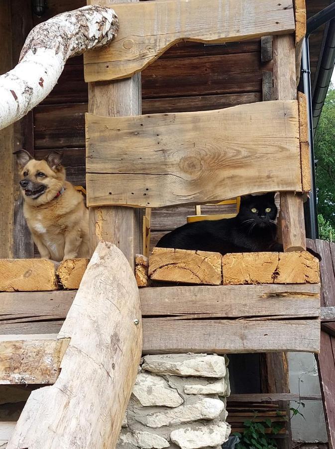 Agroturystyka Lipowewzgorze Domek Antek Tereszpol Exterior foto